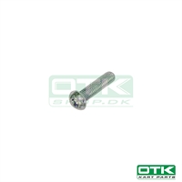 Buttonhead M6 x 30mm
